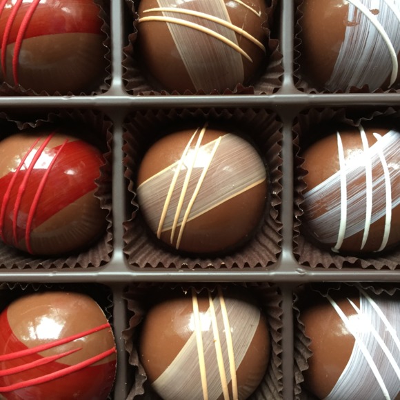 Meet your Posher, Kelly - Picture 1 of 1